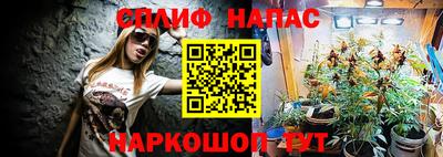 гидра Тулун