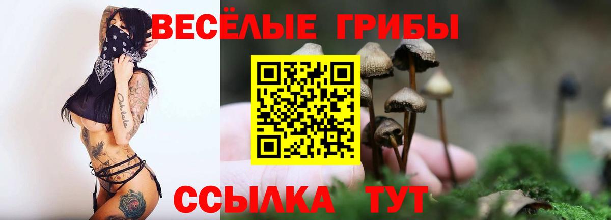 Медногорск  Галлюциногенные грибы прущие грибы  Псилоцибиновые грибы Psilocybine cubensis  Вход с VPN 